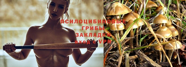 синтетический гашиш Балахна